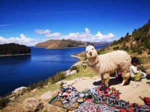 LAGO TITICACA COPACABANA - ISLA DEL SOL FULL DAY